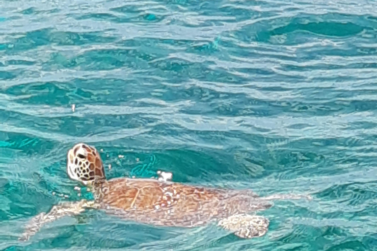 Saint-Martin: Private boat trip with skipper