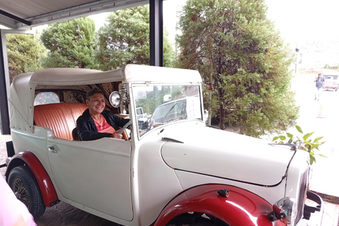 Kandy: Full-Day Tuk-Tuk Tour with Temples & Gardens by Local