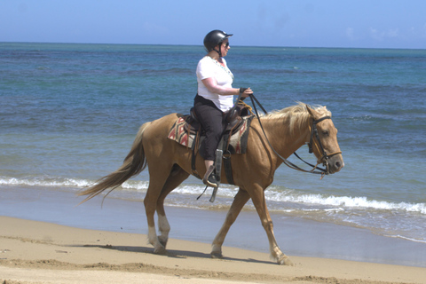 Puerto Plata: Beach Horseback Ride with Swim and Drinks Puerto Plata: Beach Horseback Ride with Swim and Drinks