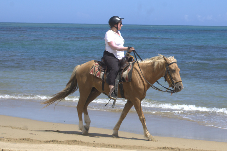 Puerto Plata: Beach Horseback Ride with Swim and Drinks Puerto Plata: Beach Horseback Ride with Swim and Drinks