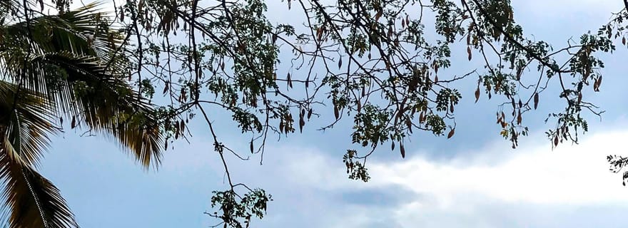 Kigoma : visite du lac Tanganyika et promenade en canoë