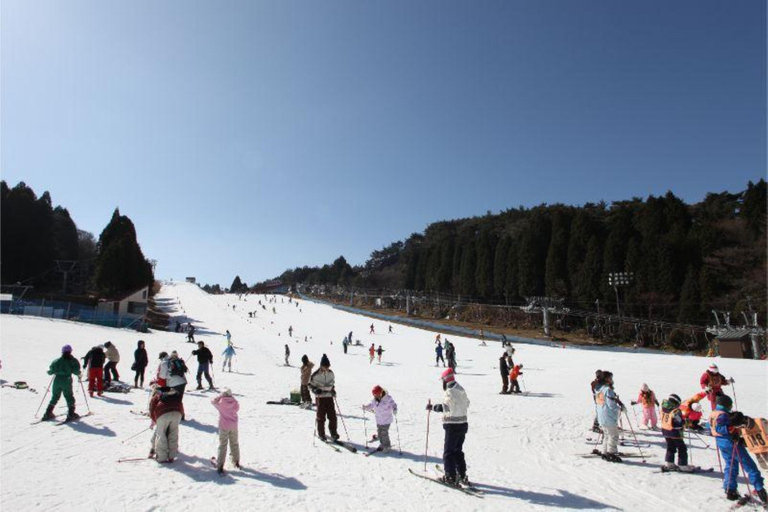 Osaka: Rokko Snow Park – wycieczka 1-dniowa z opcjonalną lekcją jazdy na nartachD (SANKI)