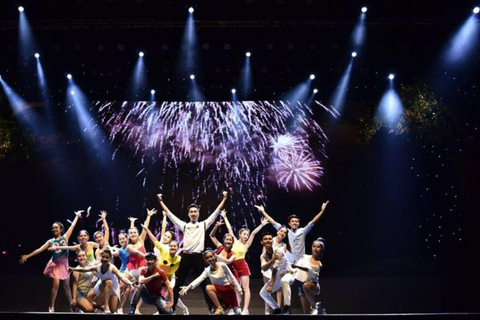 Da Nang: Charming Da Nang Show Ticket