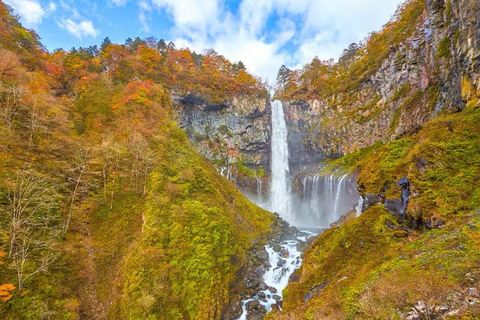 Nikko: Kegon Falls, Chuzenji, Shinkyo Bridge, Toshogu Temple In Luxury Velfire Nikko Private Customized Tour