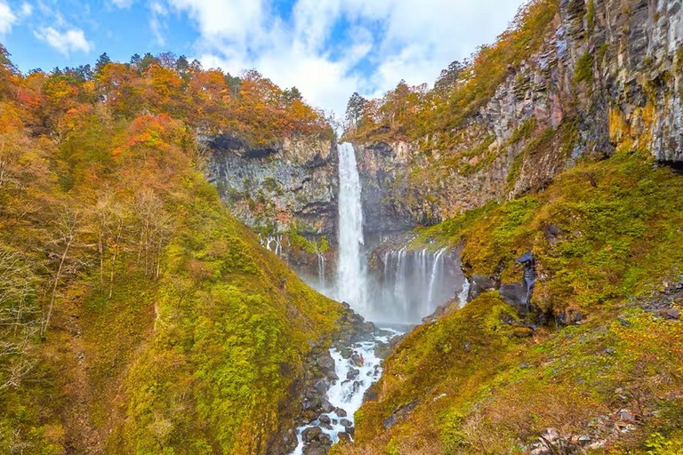 Nikko: Kegon Falls, Chuzenji, Shinkyo Bridge, Toshogu Temple In Luxury Velfire Nikko Private Customized Tour