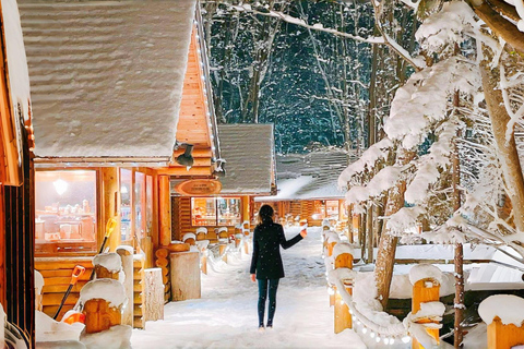 Sapporo: Asahiyama Zoo, Waterfall, and Blue Pond Tour 8:00 am meet at Odori Park subway station exit 31