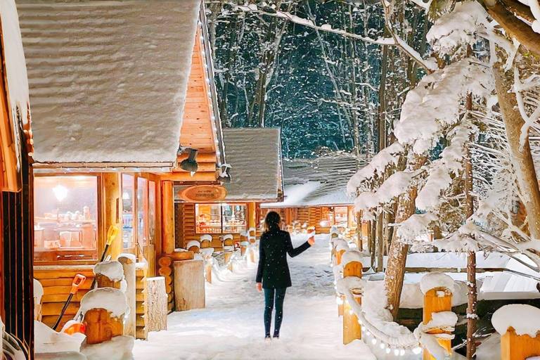 Sapporo: Asahiyama Zoo, waterval en Blue Pond Tour8:10 uur: ontmoeting bij de noordelijke uitgang van JR Sapporo Station