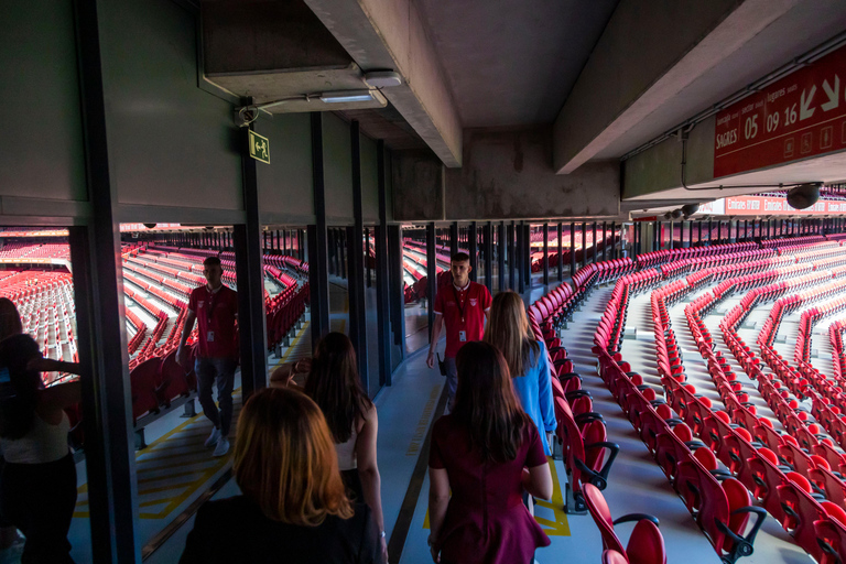 Lissabon: 2-stündiges Luz-Stadion und geführte MuseumstourBrasilien und Benfica