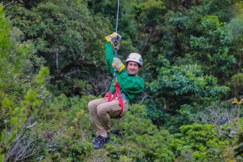 Den ursprungliga Canopy Tour Monteverde