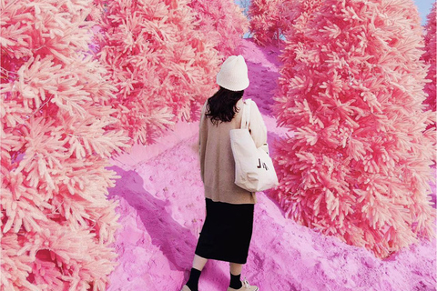 Seúl: Excursión de invierno en Pocheon con recogida de fresasSalida desde la estación Dongdaemun History&amp;Culture Park, salida 10.