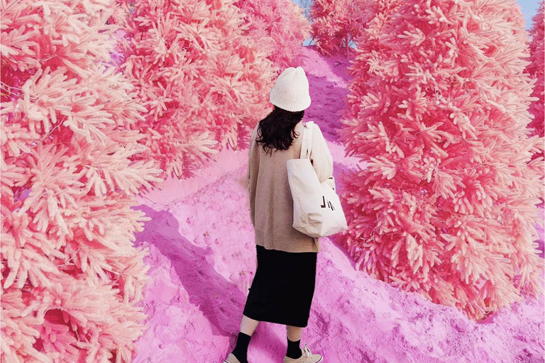 Seúl: Excursión de invierno en Pocheon con recogida de fresasSalida desde la estación Dongdaemun History&amp;Culture Park, salida 10.