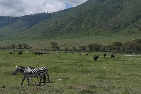 5Giorni, Safari in TanzaniaTour della città di Arusha.