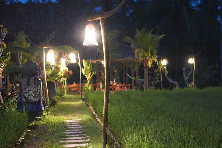 Bali: Magical Night Firefly Tour & Authentic Culture insight