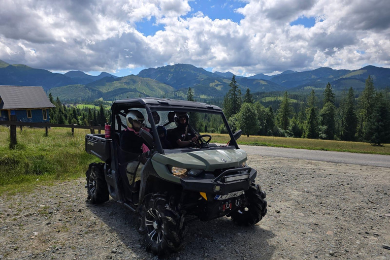 Zakopane: Snowmobile, Quad, or Buggy Tatra Mountains Tour