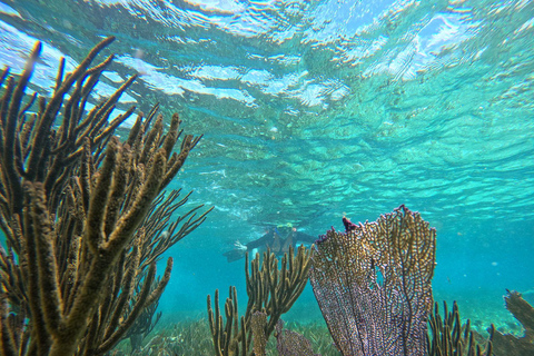 Cancun: Tour particular a Puerto Morelos pelo mar e pela selva