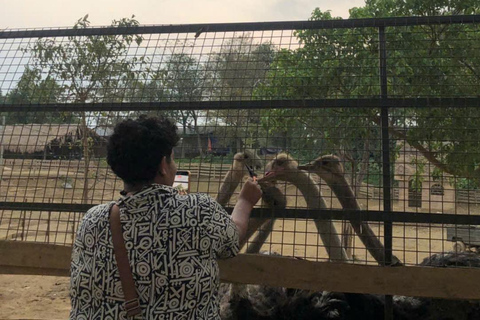 Hanoi: Rainbow Slide & Horse Riding – Small Group Half-day