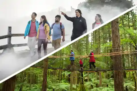 Auckland: Excursão de um dia a Rotorua, incluindo Te Puia Tour e Redwoods