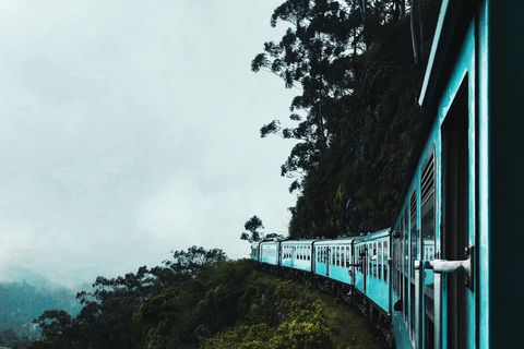 Sri Lanka: 8-Day Tour with Accommodation