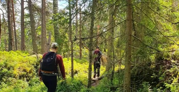 Stockholm: Tour durch das Naturschutzgebiet mit Mittagessen am Lagerfeuer