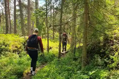 Stockholm: Nature Reserve Hiking Tour with Campfire Lunch