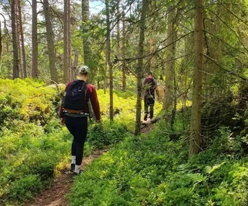 Stockholm: Nature Reserve Hiking Tour with Campfire Lunch