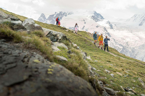 Zermatt: Gornergrat and Riffelsee Guided Hiking Tour