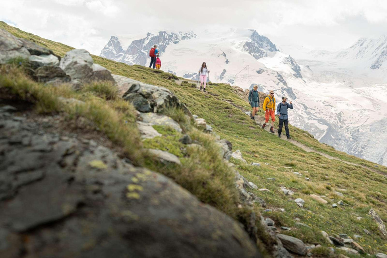 Zermatt: Gornergrat and Riffelsee Guided Hiking Tour