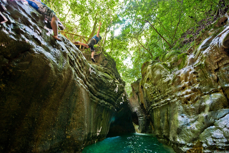 Cachoeira de Damajagua e tirolesa especial para cruzeiristas