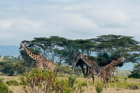 Lake Camping, Hell’s Gate, Quad bike & Crater Lake Naivasha