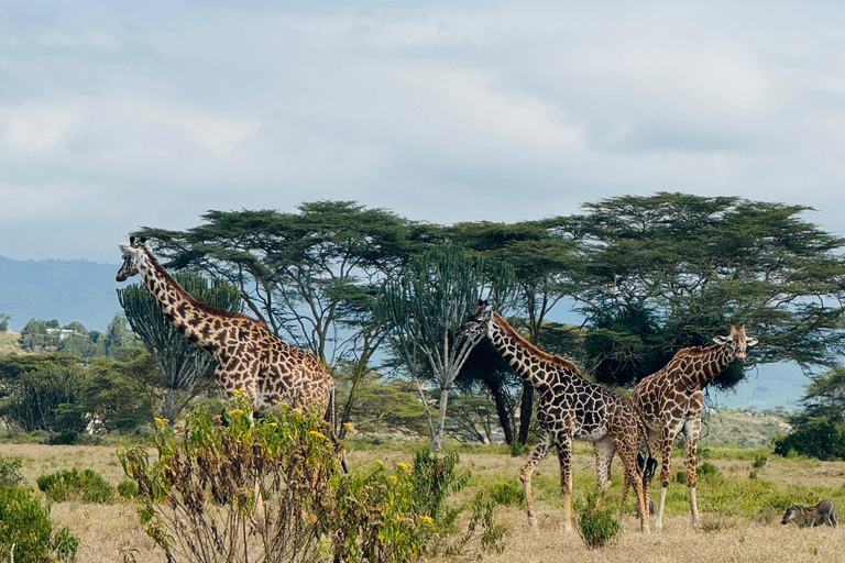Lake Camping, Hell’s Gate, Quad bike & Crater Lake Naivasha