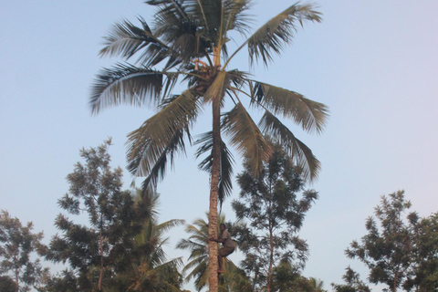 Mombasa: Nguuni Wildlife Walk & Mijikenda Village Experience