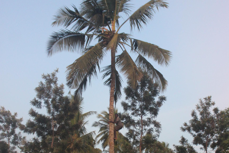 Mombasa: Nguuni Wildlife Walk & Mijikenda Village Experience