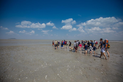 Mont Saint-Michel : Walk with an English-speaking guide