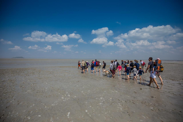 Mont Saint-Michel : Walk with an English-speaking guide