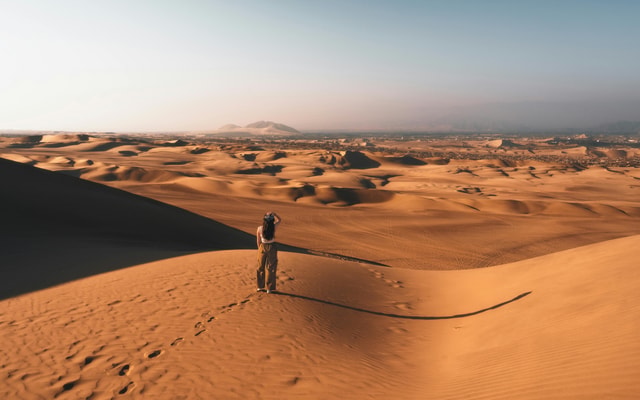 From Lima: Ballestas Islands & Huacachina Oasis Day Trip