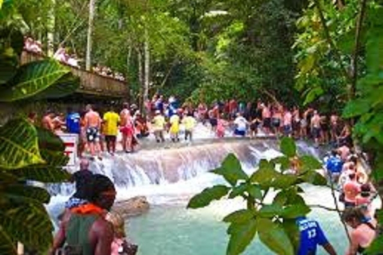 Ocho Rios: Dunn's River Falls – TagestourDunn's River Falls: Private Tagestour
