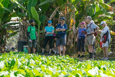 Siem Reap: Countryside Bike Tour & Evening Foodie Full-Day Haft Day: Evening Food Tour