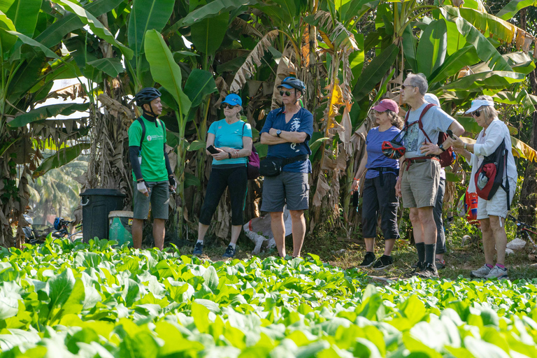 Siem Reap: Countryside Bike Tour & Evening Foodie Full-Day Haft Day: Evening Food Tour
