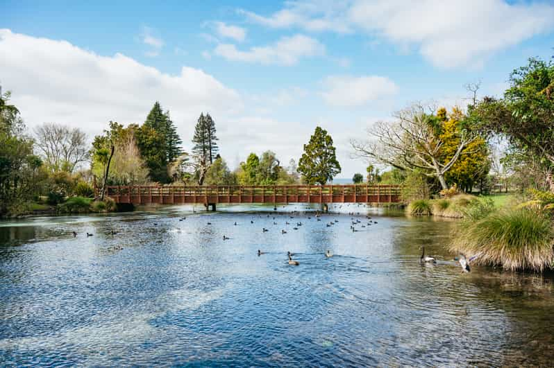 Rotorua Verken De Ochtendtour Van Een Halve Dag Door De Meren