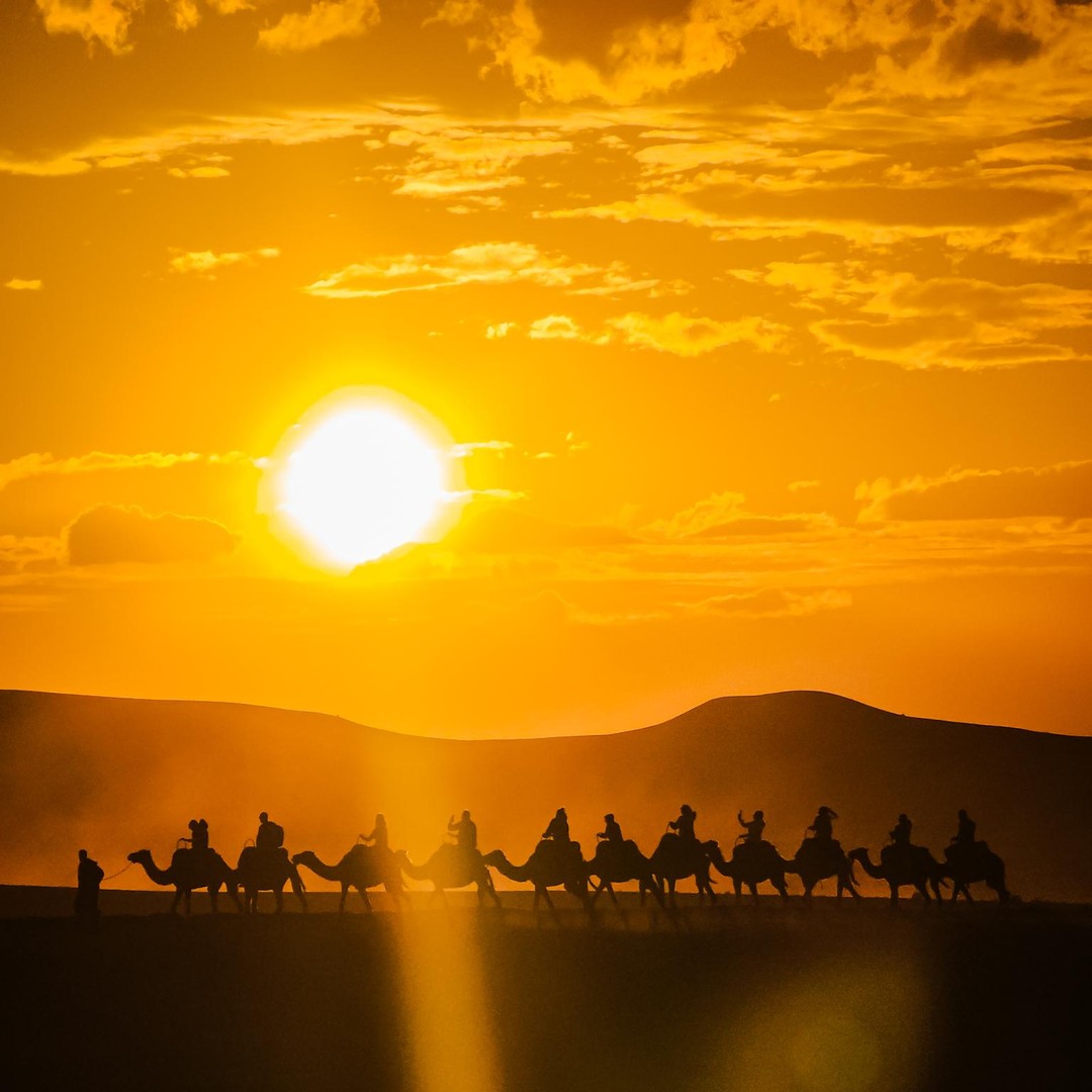 Marrakech : balade à dos de chameau dans le désert d'Agafay, dîner-spectacle et escapade dans le désert