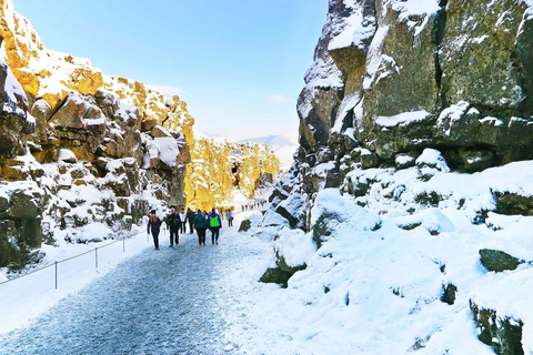 Från Reykjavik: Gyllene Cirkeln och norrskensturFrån Reykjavik: Golden Circle och Northern Lights Tour