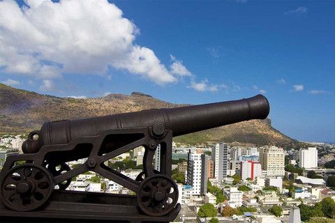 Mauritius: North Tour with Tea Tasting & Oceanarium Entry