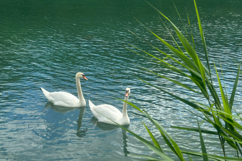 Natural SPA in Evening Private Boat Cruise in Champagne