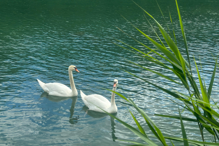 Natural SPA in Evening Private Boat Cruise in Champagne