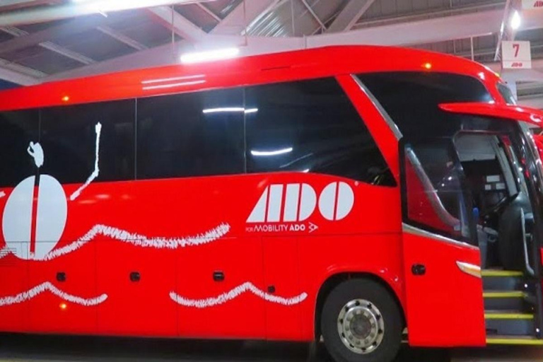 Cancun: Airport Transfer to/from Downtown by Bus Single Bus Ticket from Cancun Airport to Downtown Cancun