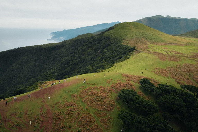 Funchal: Vereda do Fanal PR13 Hiking with Transfer & Guide