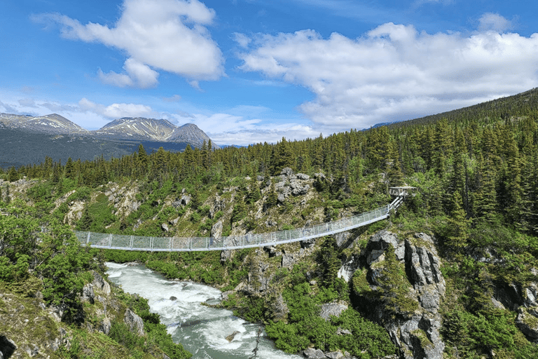Skagway: Klondike Highway &amp; Yukon bustour met Husky Kennel