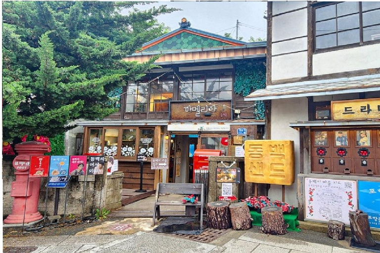 From Busan: Pohang Space Walk & Homigot Sunrise Plaza Tour Seomyeon Station, Exit 4