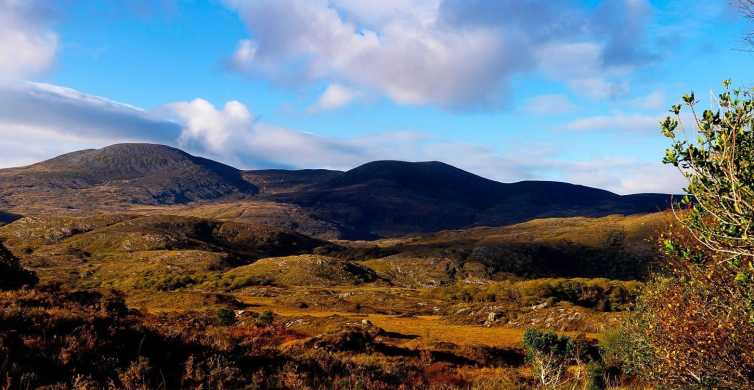 20 Best Things to Do in Killarney, Ireland - Road Affair
