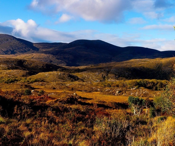 Ring of Kerry: Full-Day Tour from Killarney